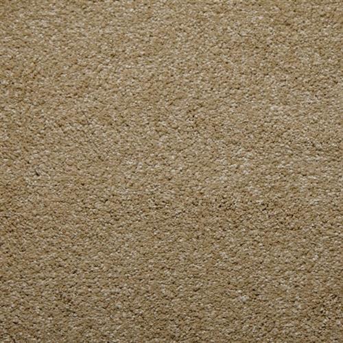 Whisper in Camel - Carpet by Lexmark Carpet