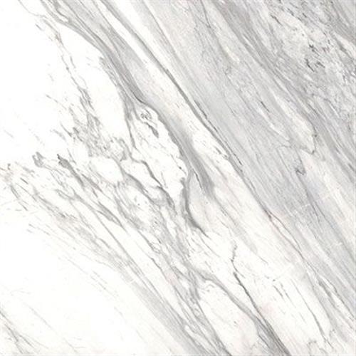 White Polished 12x24