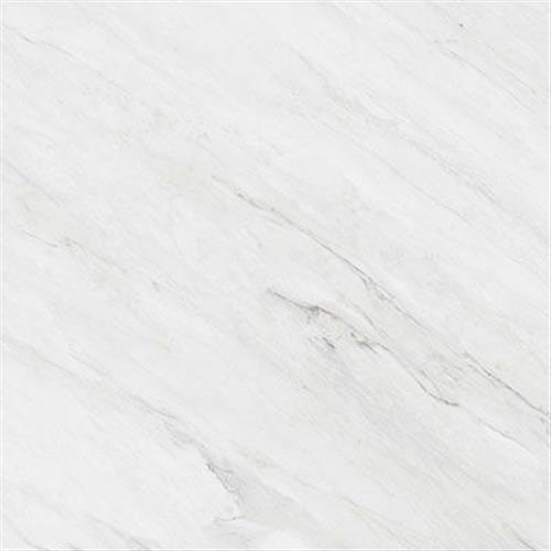 Frost Polished 24x24