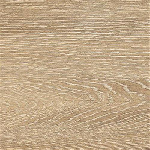 Tanzania Almond