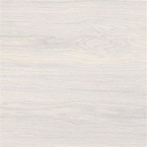 White 6x59