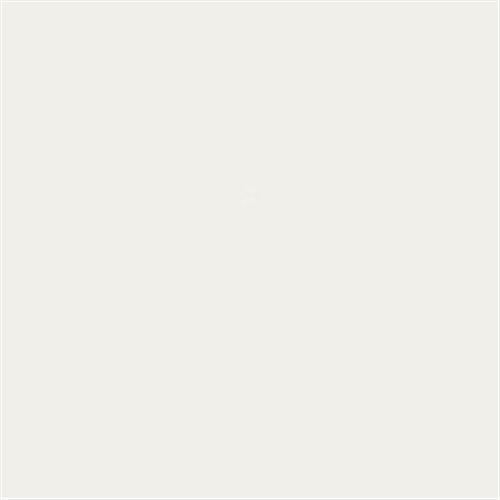 White Polished 12x24