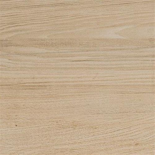 Maple 12x47