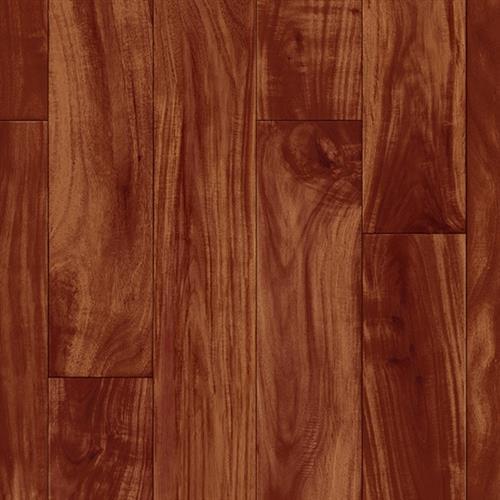Robinia