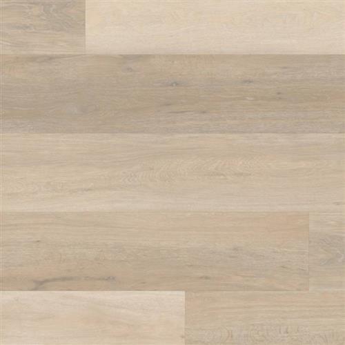 Korlok Select Texas White Ash