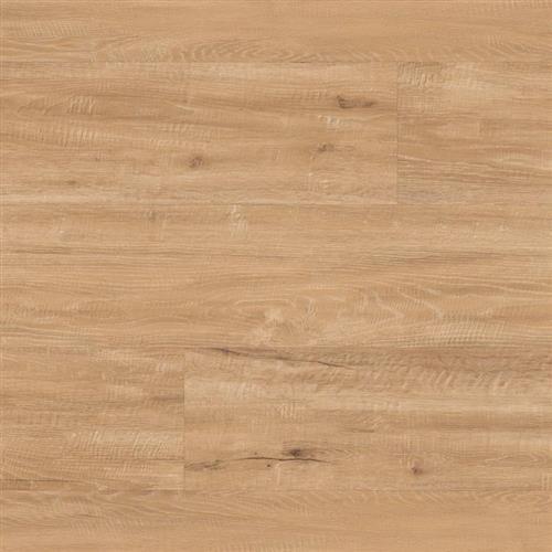 Champagne Oak