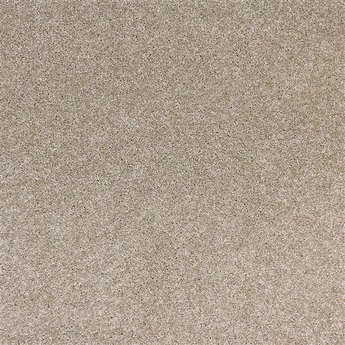 Radiant Beauty by Southwind - Luxmax - Taupe Tones