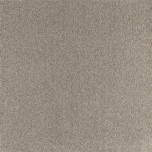 Enchanting Perfect Taupe