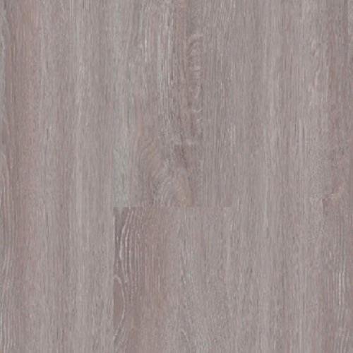 Oyster Grey