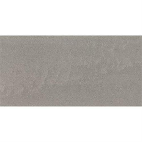 Project Grigio Medio Light Polished - 24x24 