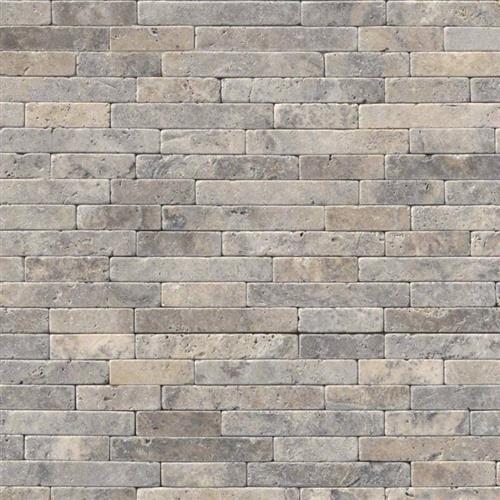 Silver Travertine by Other - Silver Travertine - 8X18 Tumbled Veneer