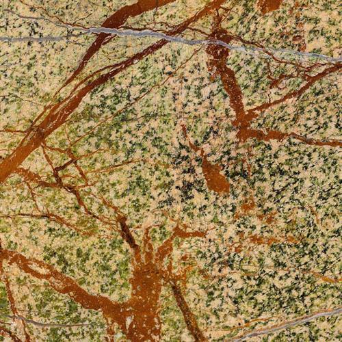 Rain Forest - -4x4
