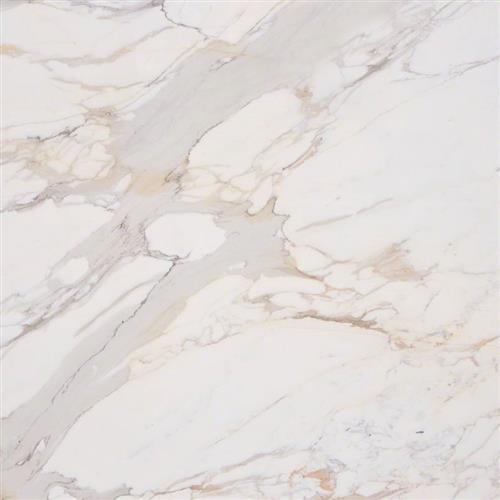 Honed calcutta gold marble