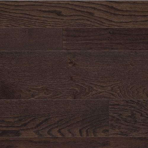 Silhouette Oak