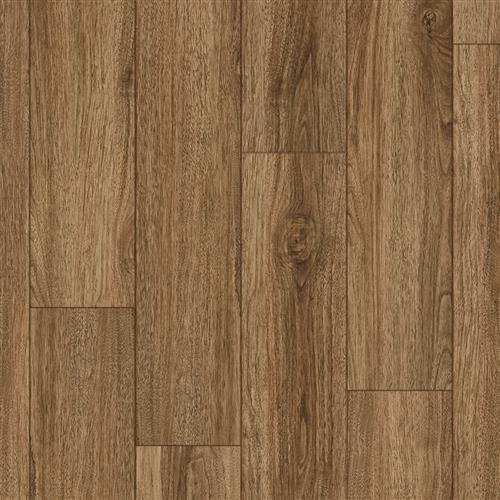 Coretec Pro Plus Enhanced Planks Rocca Oak