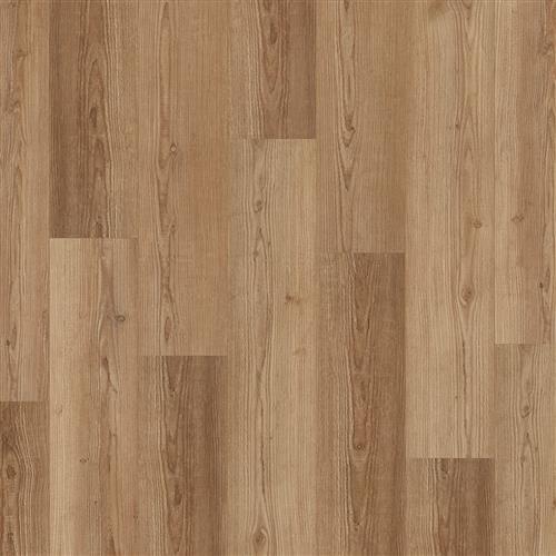 Andromeda Pine
