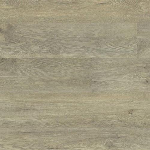 Plymouth Oak