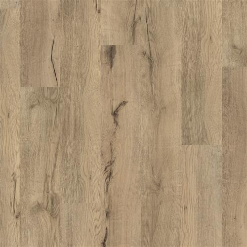 Augustine Oak