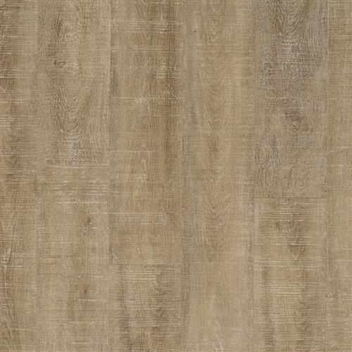 Nantucket Oak