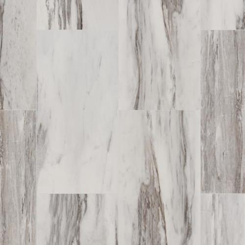 Coretec Stone Sahni