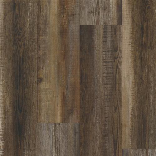 Sheridan Oak