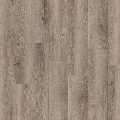 Cigar Oak