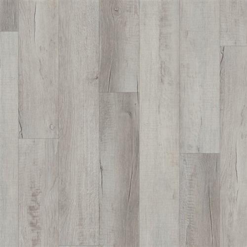 Chesapeake Oak