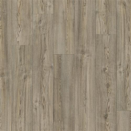 Bravado Pine