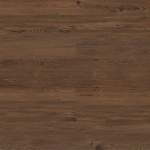Provincial Oak