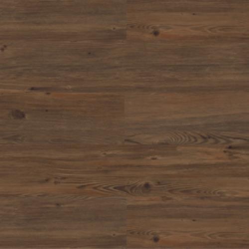Provincial Oak