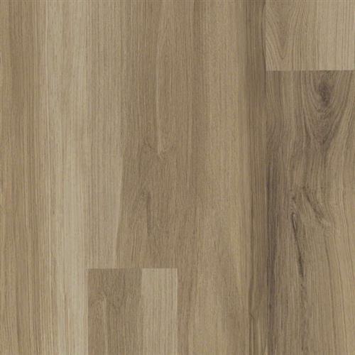 Almond Oak