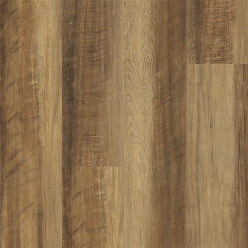 Tawny Oak