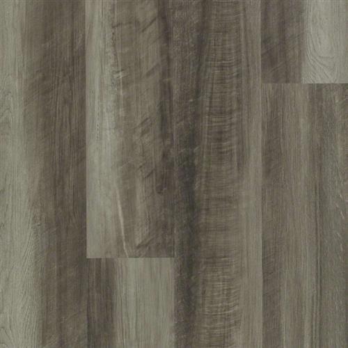 Oyster Oak