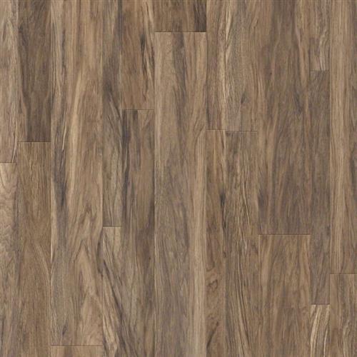 Lombardy Hickory