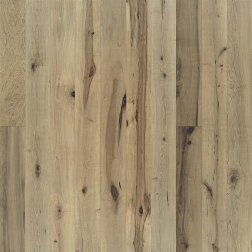 True Collection in Orris Maple - Hardwood by Hallmark Floors