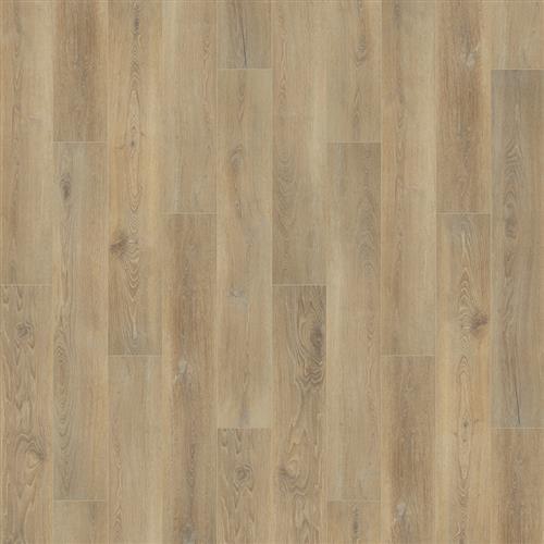 Courtier Camarilla Oak