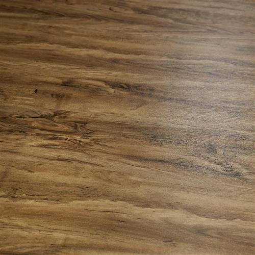 12Mil Collection Appalachian Birch