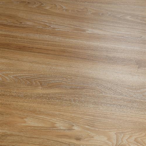 12Mil Collection Portsmouth Oak