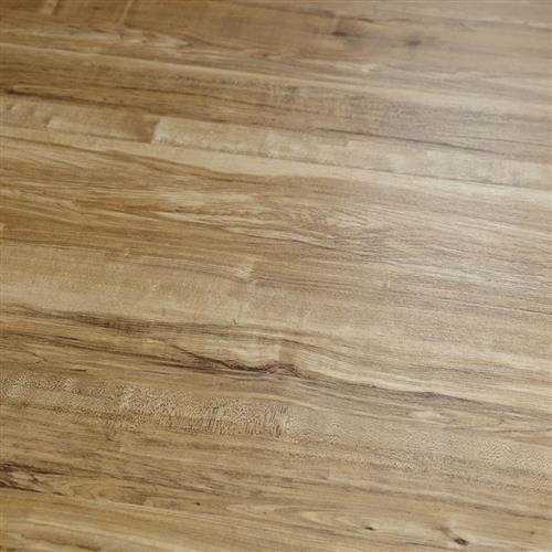 12Mil Collection Springfield Birch