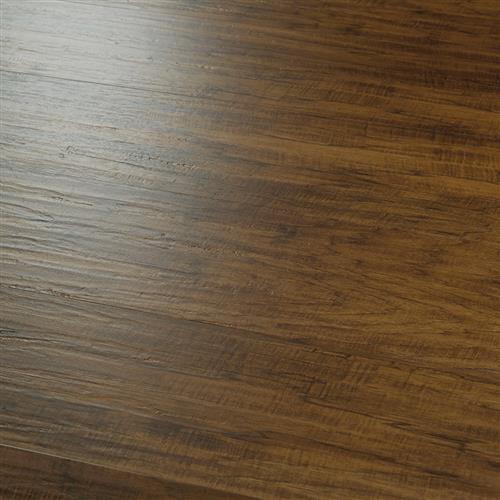 20Mil Collection Bridle Hickory