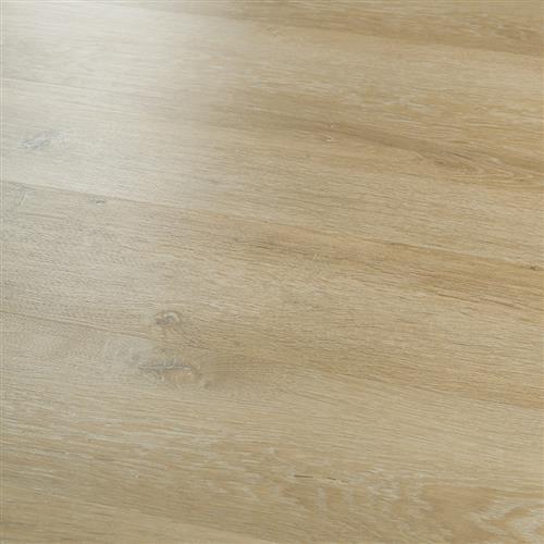 20Mil Collection Piedmont Oak
