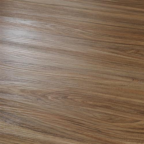 Rubra Elm