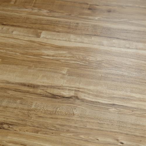 12Mil Collection Springfield Birch