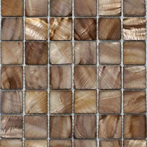 Brown Shell