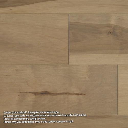 Pg Model Clic Solid Marula Silver Maple Hardwood Pg Model Clic Solid Marula