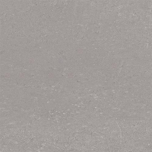 Polvere   - 12x24