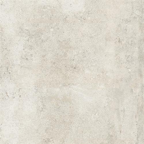 White   - 12x24