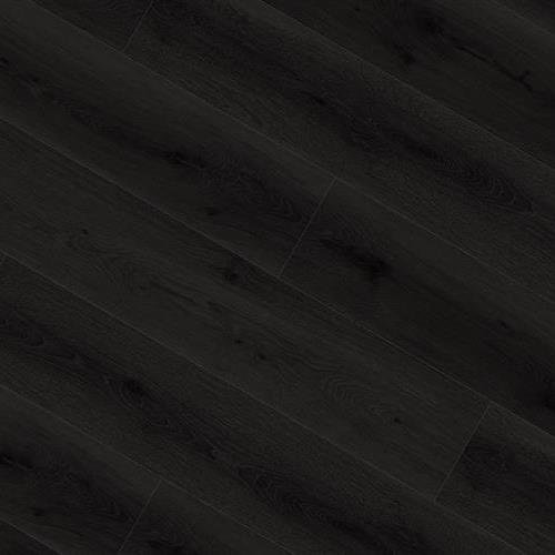 Lvt  R9 Fleming Plank in Coal - Vinyl by Raskin Industries