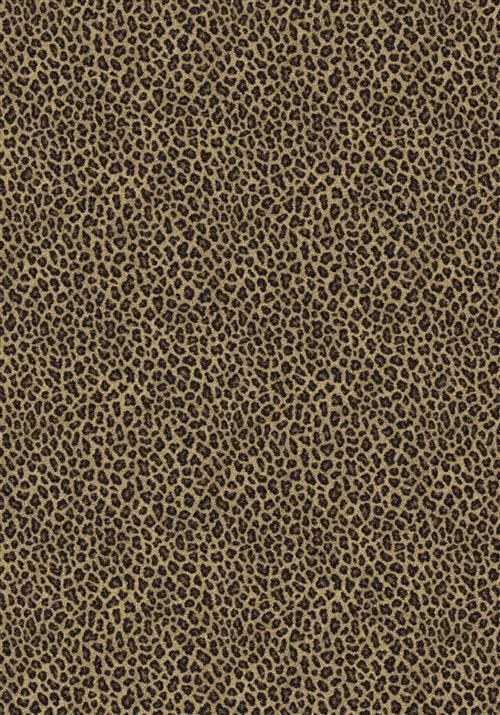 Milliken Exotic Skins-Leopold Area Rugs - Greater Philadelphia area ...