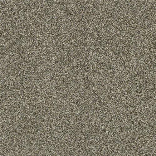 Dreamy Taupe 00708